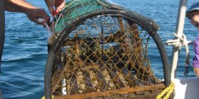 10-experiences-a-vivre-belle-province-quebec-peche-homard-iles-de-la-madeleine-quebec-le-mag