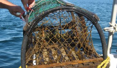 10-experiences-a-vivre-belle-province-quebec-peche-homard-iles-de-la-madeleine-quebec-le-mag