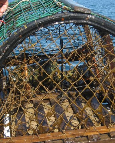 10-experiences-a-vivre-belle-province-quebec-peche-homard-iles-de-la-madeleine-quebec-le-mag