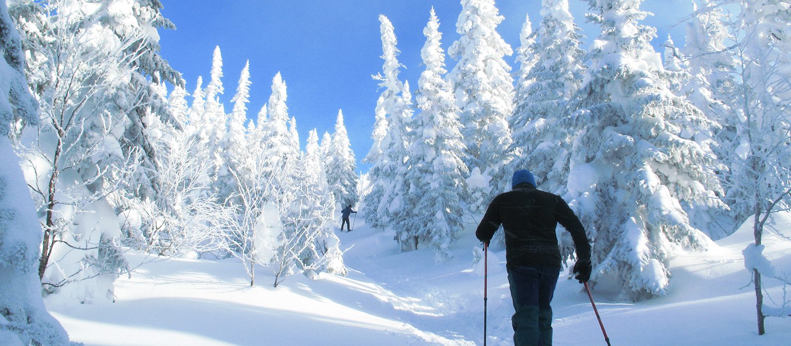 7-commandements-hiver-quebecois-geant-vallee-fantomes-saguenay-lac-saint-jean-quebec-le-mag