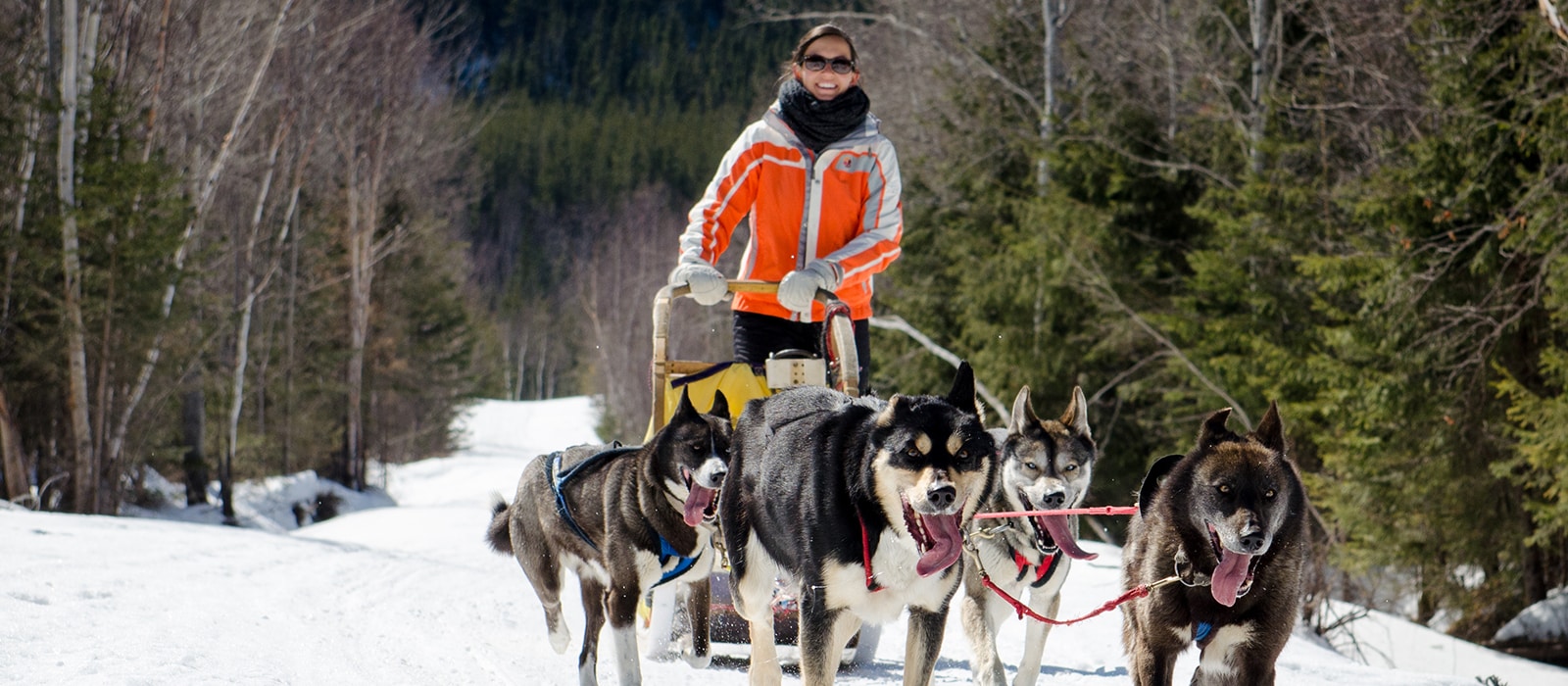 adrenaline-hiver-quebec-ski-nordique-quatre-nature-quebec-le-mag