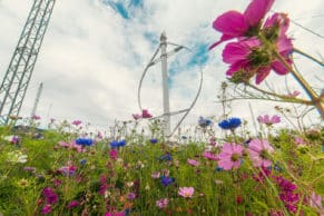 Que faire en Gaspésie : visite du Projet Eole à Cap Chat - la plus grande éolienne à axe vertical du monde