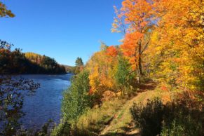 parc-ile-de-melville-quebec-le-mag