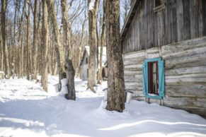 Sucrerie de la Montagne en hiver - Cabane à Sucres au Québec
