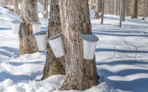 cabane-a-sucre-sucrerie-de-la-montagne-quebec-le-mag