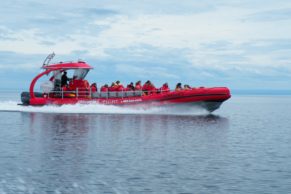 croisiere-essipit-baleine-cote-nord-quebec-le-mag