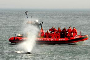 croisiere-essipit-baleine-cote-nord-quebec-le-mag