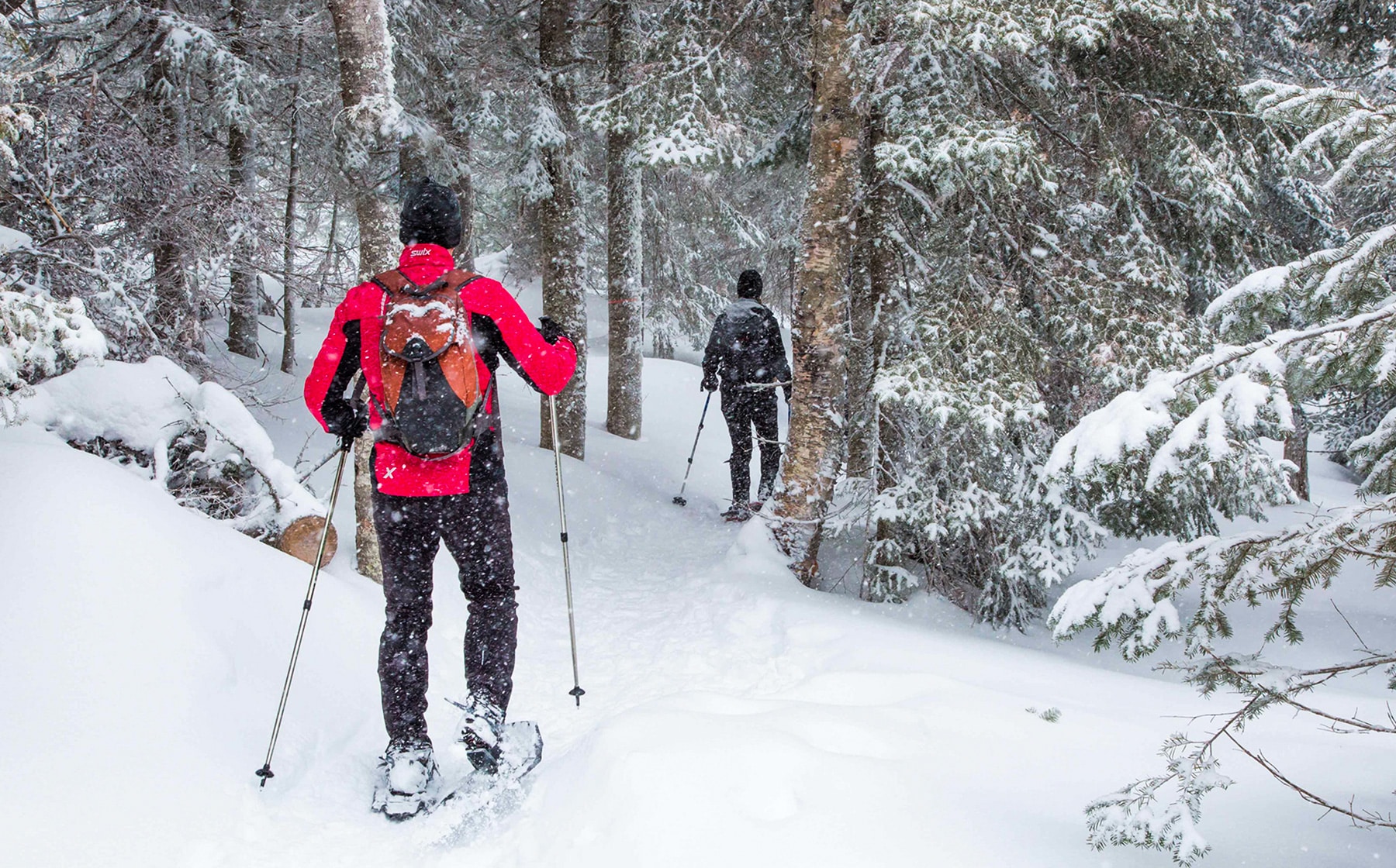 Ski de fond – sentierdescaps