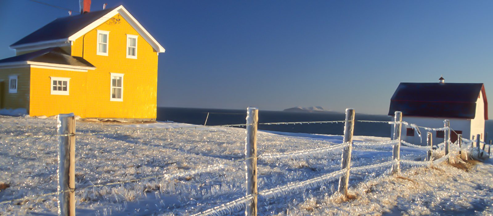 un-hiver-actif-au-quebec-iles-de-la-madeleine-bebe-phoque-quebec-le-mag