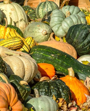 la-courgerie-lanaudiere-quebec-le-mag