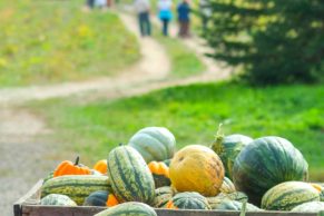 la-courgerie-lanaudiere-quebec-le-mag