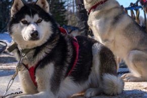 la-baluchon-eco-villegiature-hebergement-hiver-quebec-le-mag