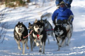 auberge-du-lac-taureau-hebergement-lanaudiere-traineau-à-chien-quebec-le-mag