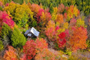 Entre Cimes et Racines: Ecogite au Québec - Chalet en automne