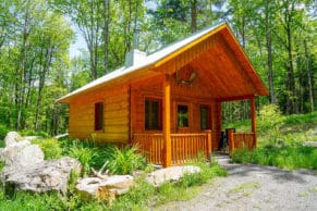 Chalet Ecogite Québec - Entre Cimes et Racines