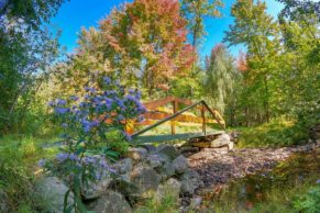 Ecogite Québec - Entre Cimes et Racines