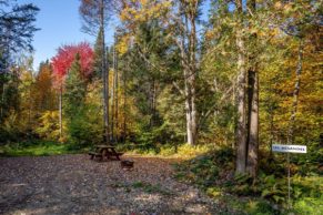 Ecogite Québec - Entre Cimes et Racines