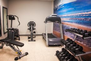 gym-salle-de-sport-hotel-alma-quebec-le-mag