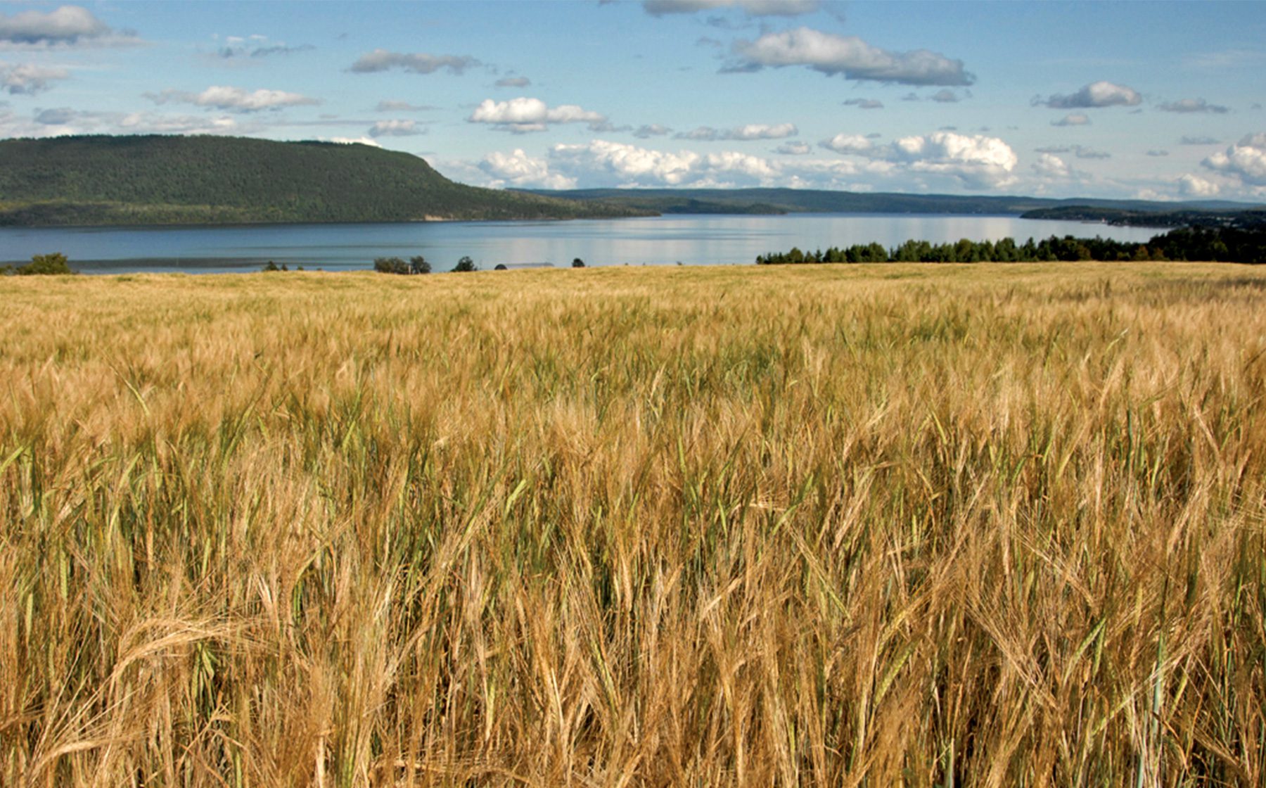 le-bas-saint-laurent-lac-temiscouata-quebec-le-mag