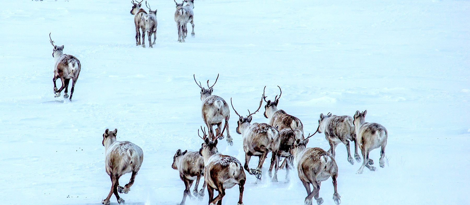 nunavik-en-neuf-decouvertes-parcs-nunavik-quebec-le-mag