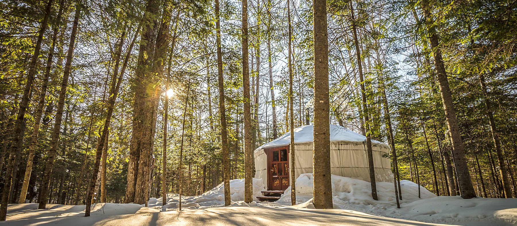 vivre-le-quebec-autochtone-observation-de-la-faune-le-mag