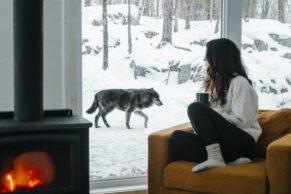 Parc Oméga - Photo Eye of She