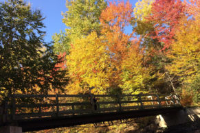 parc-regional-des-grandes-coulees-centre-du-quebec-automne-quebec-le-mag