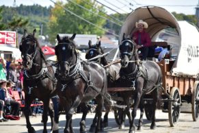 festival-western-de-st-tite-mauricie-defile-quebec-le-mag