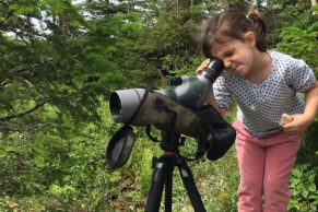 parc-national-de-la-gaspesie-enfant-curieux-quebec-le-mag