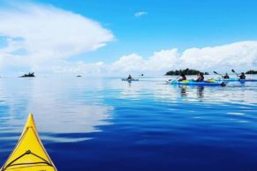 Kayak de mer au Saguenay-Lac-Saint-Jean - Photo Equinox Aventure