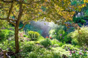 jardins-de-metis-gaspesie-jardins-quebec-le-mag