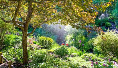 jardins-de-metis-gaspesie-jardins-quebec-le-mag