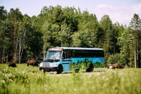 Parc Oméga - Photo Laure Poiret