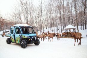 Parc Oméga - Photo Laure Poiret