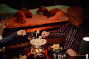 Parc Oméga - Photo Laure Poiret