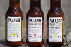 microbrasserie-a-labri-de-la-tempete-biere-palabre-quebec-le-mag