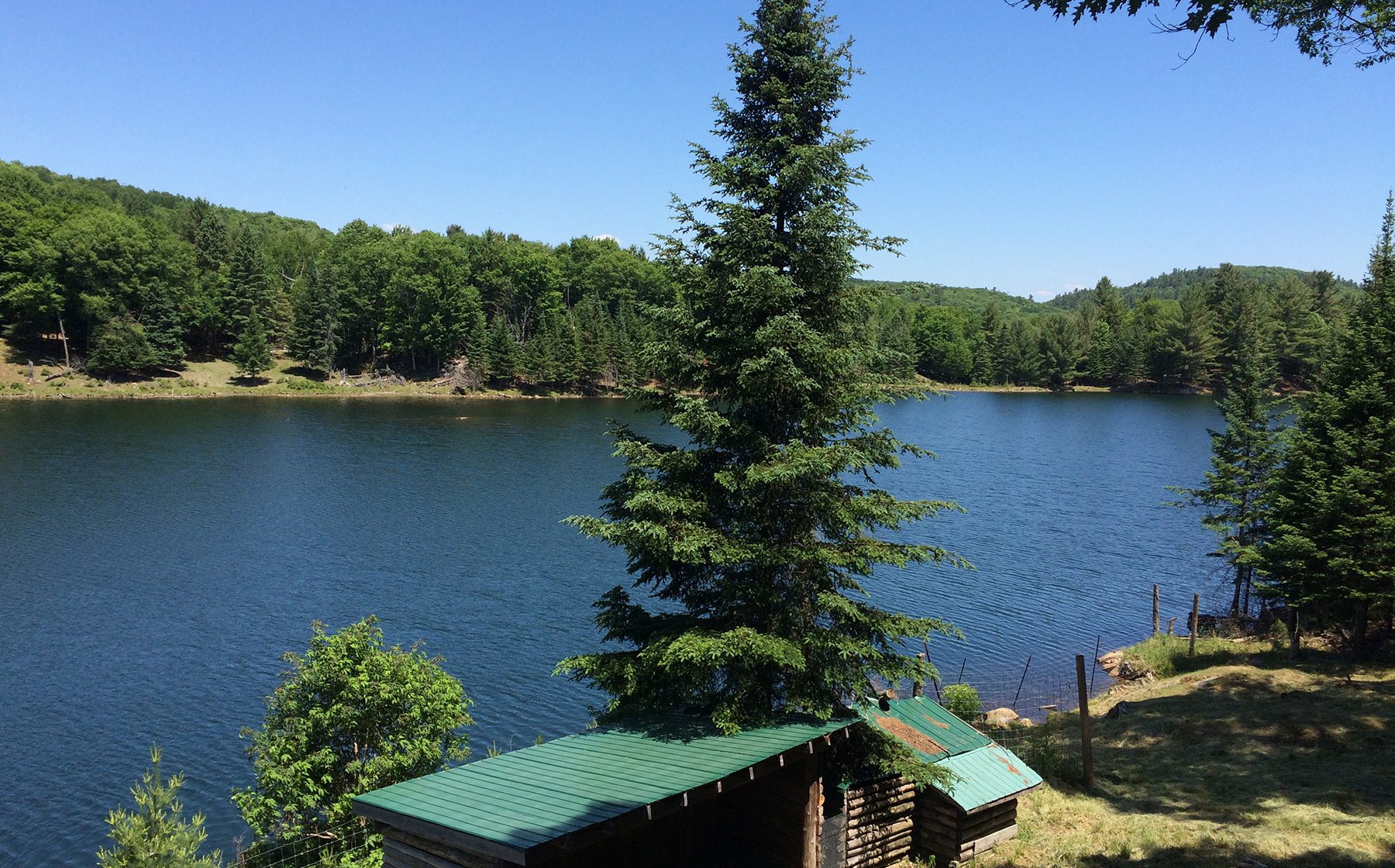 Parc Oméga Découvrez les animaux du Canada Québec le Mag
