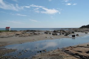 la-route-des-baleines-cote-nord-paysage-quebec-le-mag