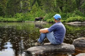 Rencontre au Parc national de la Mauricie - Photo Jacques Pleau