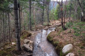 parc-national-des-hautes-gorges-de-la-rivière-malbaie-charlevoix-riviere-quebec-le-mag