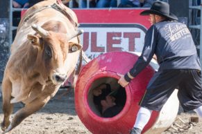 festival-western-de-st-tite-mauricie-rodeo-quebec-le-mag