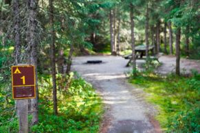 parc-national-des-hautes-gorges-de-la-rivière-malbaie-charlevoix-sentier-quebec-le-mag