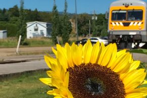 le-train-de-charlevoix-ete-quebec-le-mag