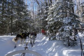 pourvoirie-club-fontbrune-traineau-a-chiens-hiver-quebec-le-mag