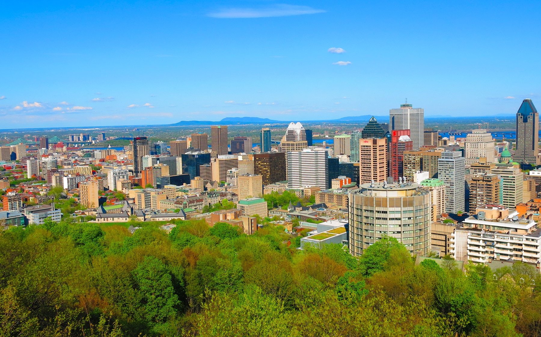 tour belvedere in montreal