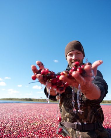 experience-gastronomie-canneberge-quebec-le-mag