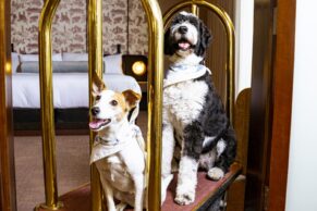 Photo Hotel Saint-Sulpice