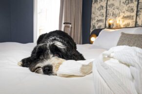 Photo Hotel Saint-Sulpice