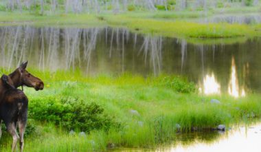 orignal-pourvoirie-charlevoix-quebec-le-mag