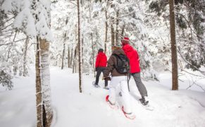 parc-mont-megantic-hiver-cantons-de-lest-quebec-le-mag